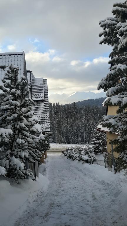U Siebie W Gorach II Apartment Bukowina Tatrzanska Bagian luar foto